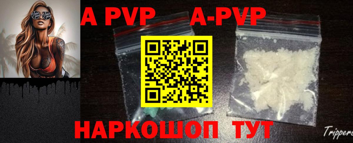 A-PVP СК Липецк