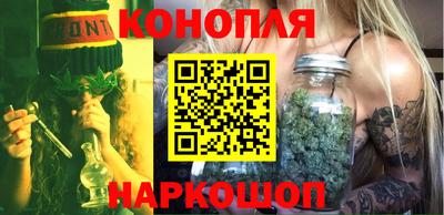 сатива Можга
