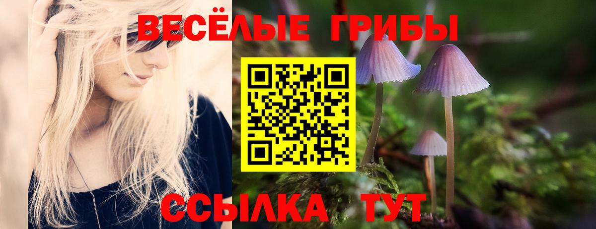 Галлюциногенные грибы Psilocybe  Липецк  Псилоцибиновые грибы GOLDEN TEACHER 